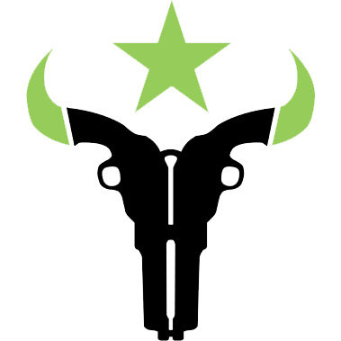 Houston Outlaws – Overwatch Team